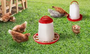 Les abreuvoirs sur pied ont l'avantage de se rester propre plus longtemps et. Pack Complet Mangeoire Abreuvoir A Poules