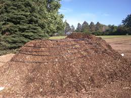 Chicken manure provides nitrogen, phosphorus and potassium to you plants (more than horse, cow or steer manure). Using Compost To Heat My Swimming Pool And Eventually My Greenhouse Composting