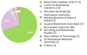 Image result for Aeschynomene heurckeana
