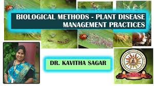 Examples include various types of biological, mechanical or chemical methods. Biocontrol Methods Plant Disease Management Youtube