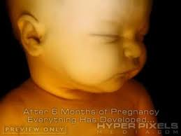 Baby Growing In Mommy S Womb Life Is A Miracle See Share Care Youtube