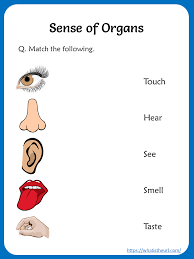 Share This On Whatsappwe Have Prepared A List Worksheets Based On Sense Of Orga In 2020 English Worksheets For Kids English Lessons For Kids Learning English For Kids