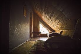 Pest control experts charge an average rate of about $52.50/hr for a standard job. How To Get Birds Out Of Your Attic Carolina Pest