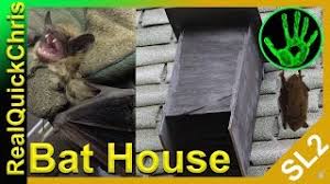 I found a bat in my home! Bats In My Living Room How To Get Bats Out Of Your House And Attic With A Diy Bat House Youtube