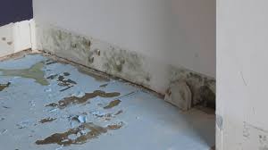 Removing black mold behind drywall is a serious task. Mold On Drywall Should I Clean Up Or Replace Home Improvement Stack Exchange