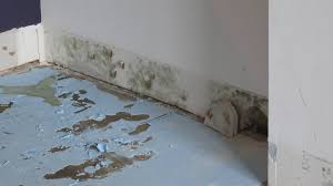 There are mold spores in the air all around us and can latch onto any surface once water is present. Mold On Drywall Should I Clean Up Or Replace Home Improvement Stack Exchange