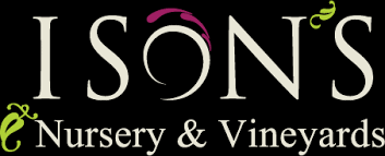 Let us notify you when fresh coupons are found. Ison S Nursery Vineyard The Most Trusted Name In Muscadines