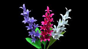 Pin On Flower