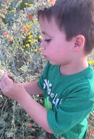 DESERT DISCOVERY CENTER At Scottsdale's Gateway to the McDowell Sonoran  Preserve JULY 2017