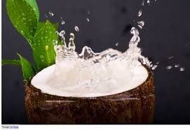 However, there is no research evidence to prove that it increases the rate of hair growth or hair length. Benefits Of Coconut Water In Hair Related Issues