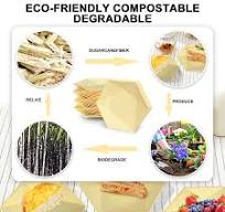 Amazon.com: BangShou 30Pack 8 Inch Hexagonal Paper Plate ...