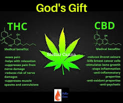 Pin On Cbd Education