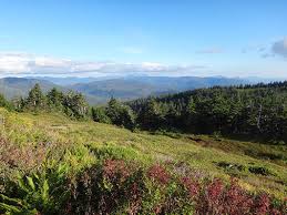 Tongass National Forest