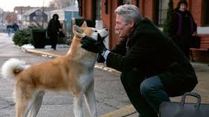 Hachiko, el perro que esperaba: raza, historia y película