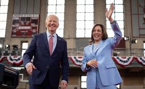 Image result for Bidens diversa