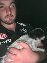 Thank u to everyone who shared and checked in. Thank u to SAPOL they  brought Cosmo home.