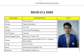 Tutorial Membuat Biodata Proses Menggunakan Php Cute766