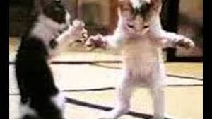 ما كان يفعله النبي صلى الله عليه وسلم في شهر شعبان. Hantarisha Tumblr Blog With Posts Tumbral Com