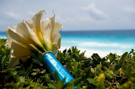 Check spelling or type a new query. 35 Beach Wedding Bouquets Destination Wedding Details