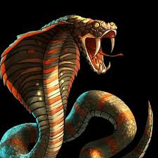 Naga sudah menjadi mitos dan dongeng sejak ratusan tahun yang lalu terutama di china. Wallpaper Ular Poisonous Snakes 1024x768 Wallpaper Teahub Io