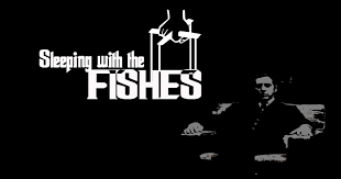 Sleeping With The Fish Or Fishes Under Water Pets