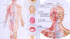 6pcs Acupressure Points Chart Using Self Acupressure For