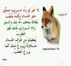 pin on مما اعجبني