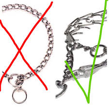 The Truth About Training Collars Choke Collars Appear To Be The More Humane Collar But They Literally Choke The Prong Collar Head Halter Dog Training Methods