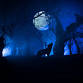 'NOT TRULY DEAD'- NUNKIE THEATRE COMPANY event in Crieff