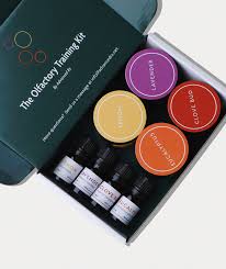 Image result for Olfactory Training