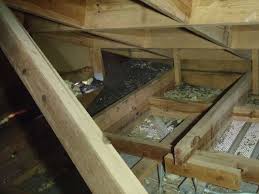 Bat removal from a attic, can be challenging for even the most experienced professional in greater nashville and middle tennessee. Bat Removal Bats In Attic Damage Repair Columbia Sc
