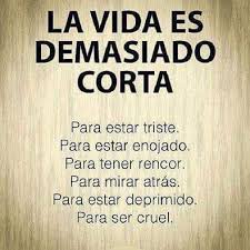 Imagenes Hermosas Con Frases Motivadoras Para Reflexionar Sobre La Vida Mejores Imagenes En la vida de un deportista hay momentos buenos y momentos malos, hay victorias y derrotas. hermosas con frases motivadoras