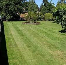 Maybe you would like to learn more about one of these? Affordable Quality Landscaping And Lawn Care In Bothell Surrounding Area
