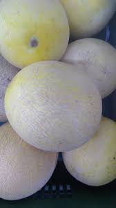 10 Surprising Health Benefits And Uses Of Muskmelon Cantaloupe For Hair Skin Weight Loss