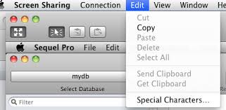 Grey characters in a cut and paste documents. Screen Sharing Won T Allow Me To Paste Into Remote System Ask Different