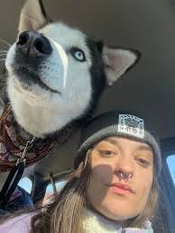 Hi. I've just come back from the vets as my 4 month old boy stole a mince  pie from a work colleague- she didn't know they were toxic to dogs. My boy