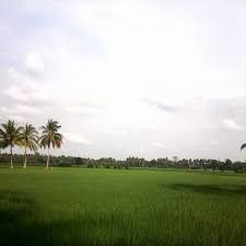 Lihat gambar di pemandangan indah di kampung sahaja dah rasa hendak pergi kesini! Pemandangan Kampung Halaman Steemit