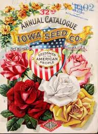 Can you make me up a fresh cut flower bouquet that's not shown on your website? 900 Vintage Style Floral Art Ideas In 2021 Floral Art Art Vintage Flowers