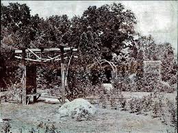 Rose Garden In Lynn Woods Outdoor Lynn Garden