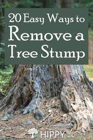 20 Easy Ways To Remove A Tree Stump The Homesteading Hippy Tree Stump Removing Tree Stumps Kill Tree Stump