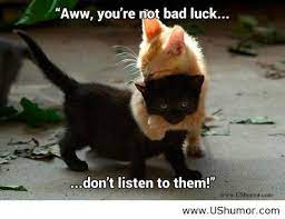 And here's wishing you the very best for all the new ventures, that life has in store for you. Bad Luck Funny Quotes Quotesgram