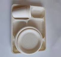 100% Biodegradable Large Capacity 6 Compartments Disposable Corn  Starch-Based Food Packing Tray