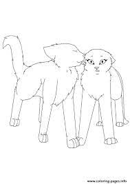 This category has a surprising amount of top fighting games that are rewarding to play. Coloring Online Warrior Cats A4 Coloring Pages Printable