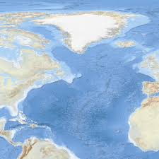 Image result for Sclerocarpus africanus