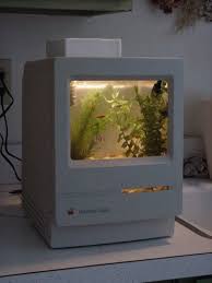 Top 11 Secrets To A Successful Home Aquarium 7 2020 Amerikan Dekor Soyut Fotografcilik Soyut Cicek Resimleri