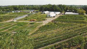 Maybe you would like to learn more about one of these? Possibility Place Nursery