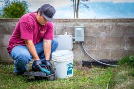 Bowman termite & pest management. Kapolei Pest Control Bowman Termite Pest Management