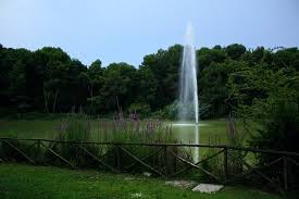 See 291 reviews, articles, and 111 photos of pineta dannunziana, ranked no.7 on tripadvisor among 235 attractions in pescara. Pescara A Marzo Riaprira La Pineta Dannunziana Con 1000 Nuovi Alberi Il Martino