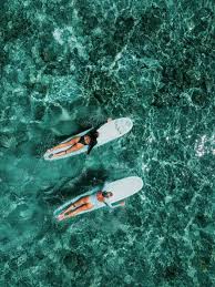 Image result for foto surfínie