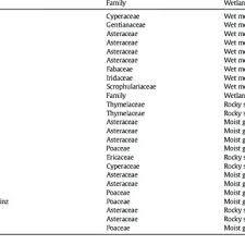 Image result for Asterochaete angustissima